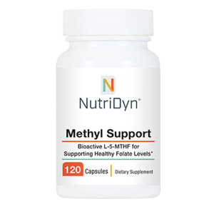 Methyl Support