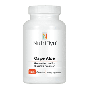 Cape Aloe